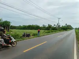 Tanah Luas Pinggir Jalan Dekat Kota Metro