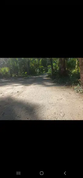 JUAL TANAH DI BUGEL PANJATAN KULONPROGO MURAH