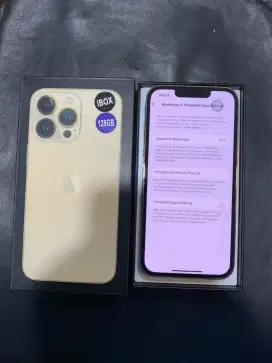 iphone 13 pro 128gb ibox, KREDIT TANPA DP BUNGA 0%