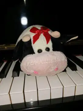 Boneka Lucu Bekas