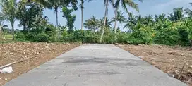 Tanah Murah Jogja Dekat YIA