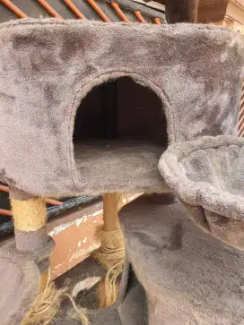 Jual tempat main dan tdr kucing masih bagus