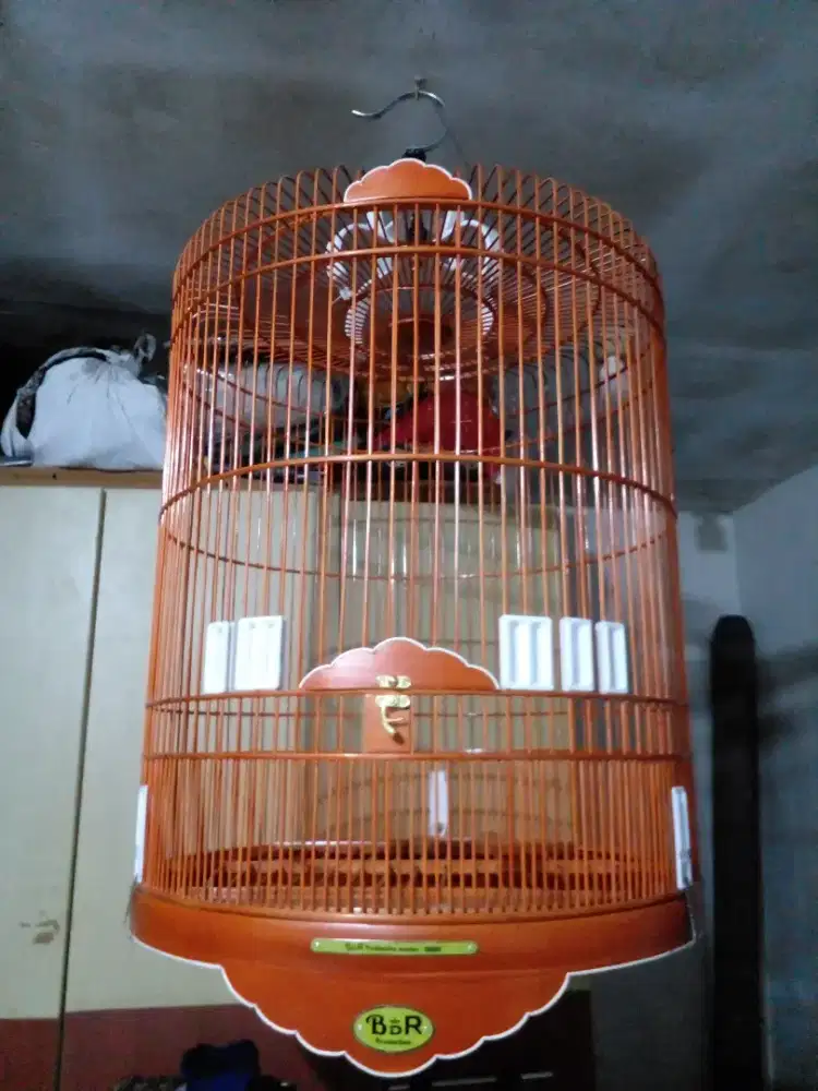 Sangkar murai No 2 list aklirik gress