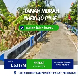 Tanah 99 ngringo palur