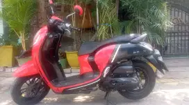 Honda scoopy 2021