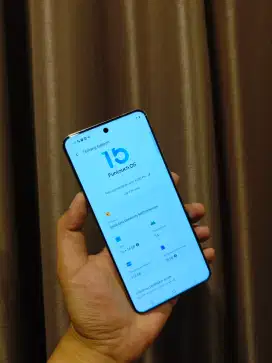 Vivo X200 Pro 16/512gb Titanium
