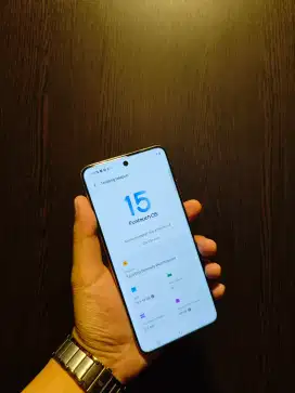 Vivo X200 Pro 16/512gb Titanium