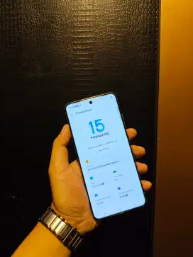 Vivo X200 Pro 16/512gb Titanium