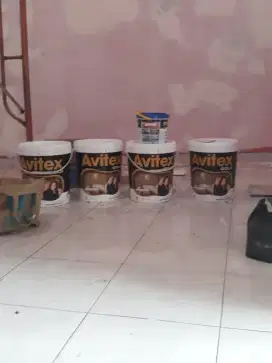 Tukang cat profesional