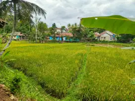 Tanah Sawah dan Kebun
