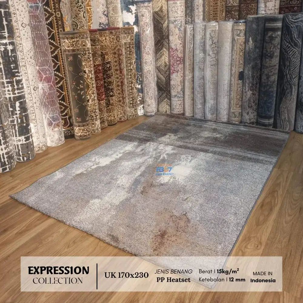Karpet Expression Collection / 170 x 230 cm