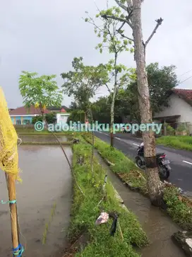 Tanah 1370 m² di mendut, mungkid, magelang