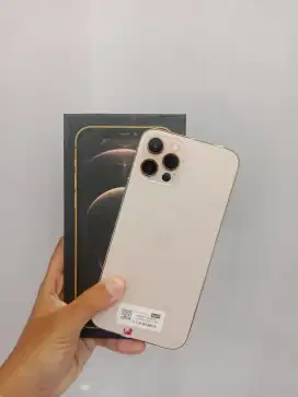iPhone 12 Promax 256gb Gold