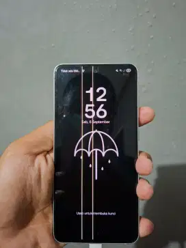Samsung galaxy s21 fe