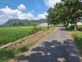 Jual Tanah SHM Cocok untuk Cafe Resto Dekat Candi & Stasiun Prambanan