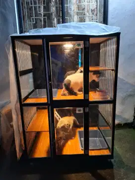 Kandang Kucing Bekas 2 pintu