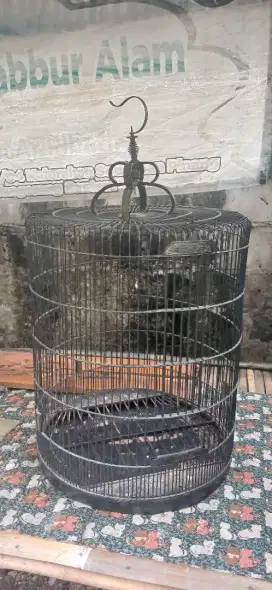 Kandang burung murai