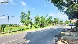 JUAL TANAH BISA BANGUN PERUMAHAN BASUKI RACHMAD WARUJAYENG NGANJUK