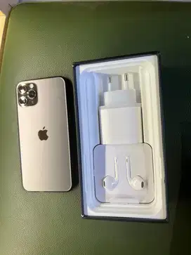 iphone 11 pro max 256gb sangat besar iya