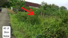 JUAL CEPAT TANAH PROSPECT