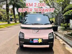 KM 2.000 WULING AIR EV STANDARD RANGE 2024/23 TERAWAT
