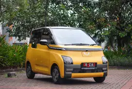 AIR EV 300 2023 KM9000 LOW