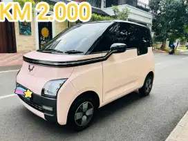 HARGA CASH KM 2.000 WULING AIR EV STANDARD 2024/23 LIKE NEW