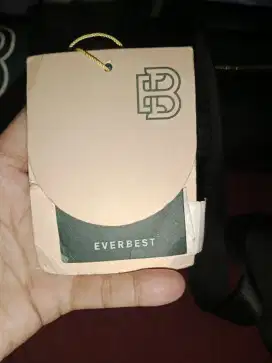 Wb ori everbest