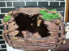 Hiding cave gecko