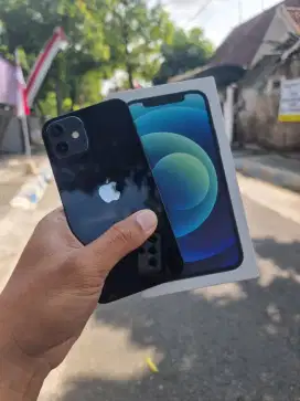 Iphone 12 64gb dual sim whitelist