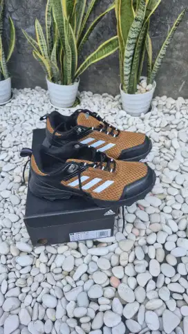 Sepatu Running trail ADIDAS TREK HOST M size 43 Original