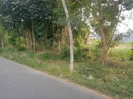 Murah! Tanah Pekarangan Di Tlogoadi Mlati Dekat RSA UGM, Kampus UTY