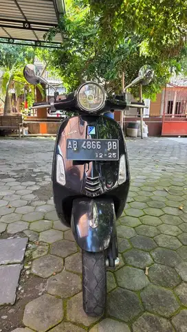 Vespa primavera 2014