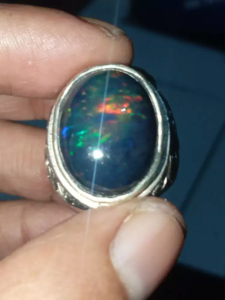 Black oval Afrika kualitas super natural