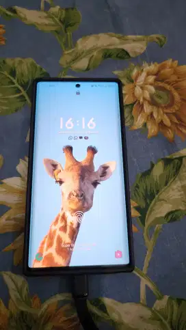 Samsung galaxy note 10 plus sein 12/256