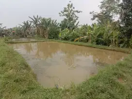 TANAH EMPANG DAN TANAH DARAT  MURAH DI PARUNG BOGOR