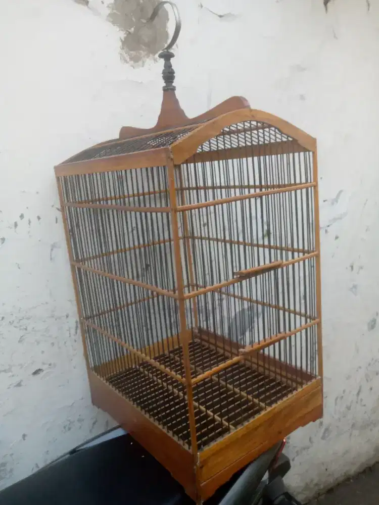 Kandang no 3 layak pakai