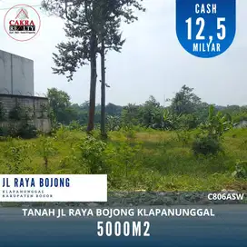 Tanah 5000m2 depan jalan raya cocok untuk usaha