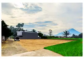 View Gunung Pinggir Sawah, Tanah Dekat Balekota Timoho