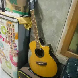 Gitar Yamaha Apx 500