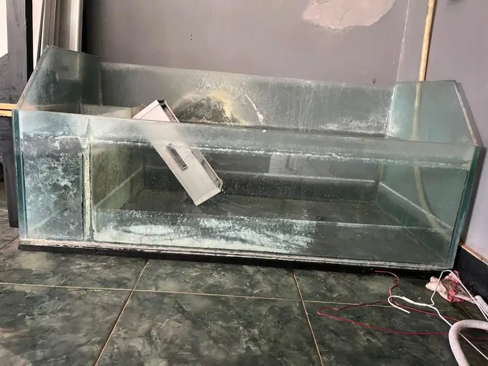 Aquarium jumbo banget tebal kacanya