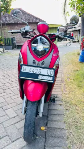 Fino Grande 2018