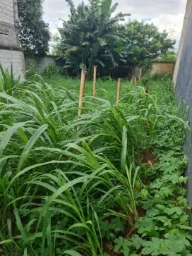 dijual tanah 340mtr  dekat jakarta