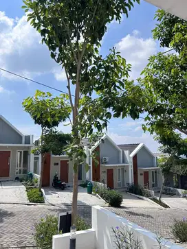 SIAP HUNI VIEW BAGUS DI TEMBALANG