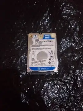 Hardisk WD 320GB