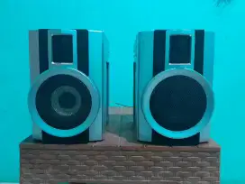 Speaker Polytron