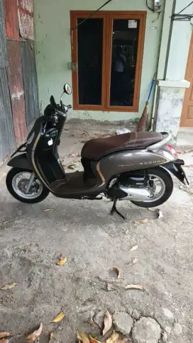 Honda scoopy 2021/2020 pajak pemakaian oribadi