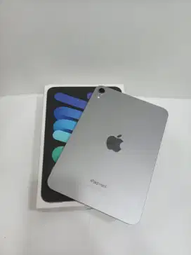 Ipad  mini (A17 Pro) ibox