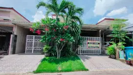 Puri Surya jaya Boston