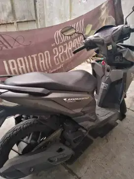 Vario 2016 mulus